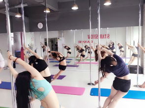 成都0基础学钢管舞爵士舞 0首付分期付款的培训新选择