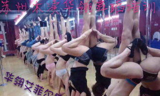 寒假苏州钢管舞健身班培训 学钢管舞减肥塑形